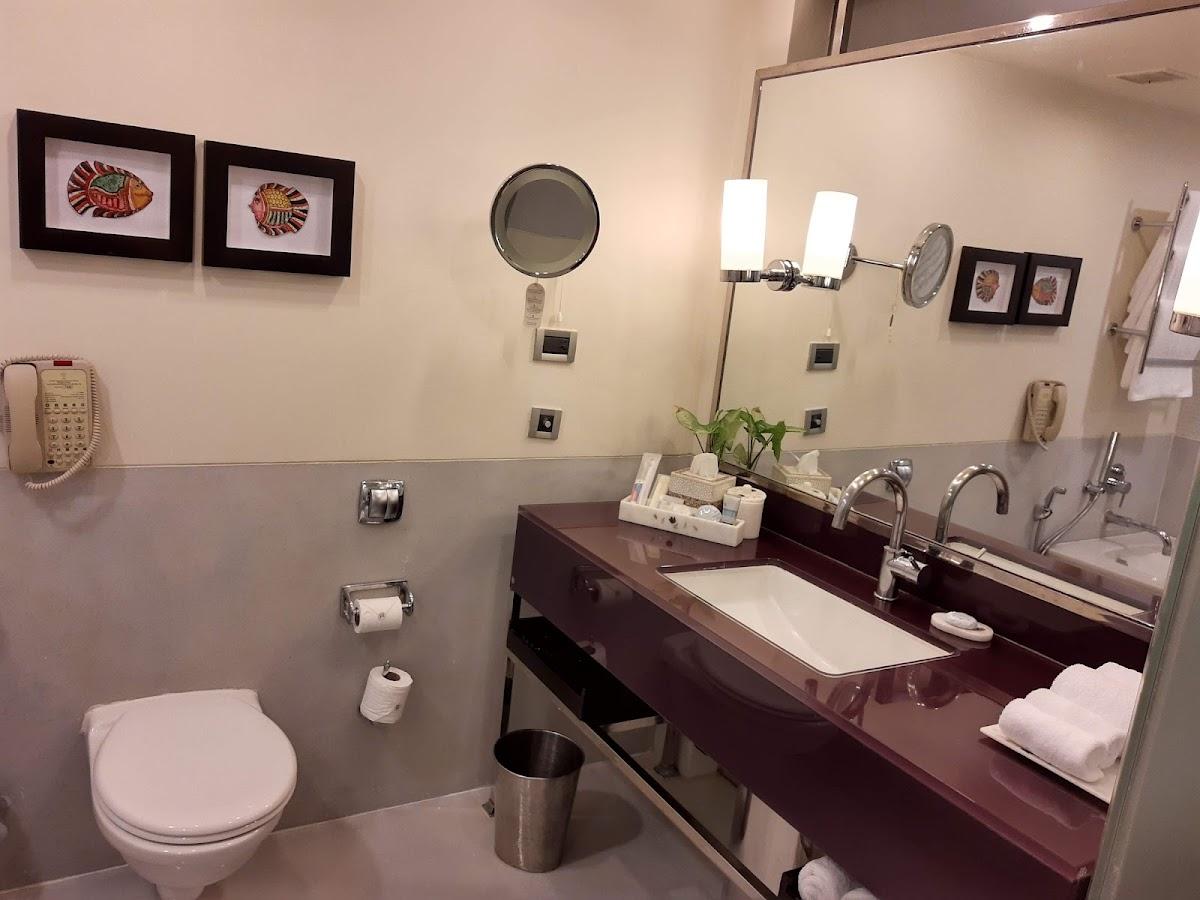 ITC Kakatiya, a Luxury Collection Hotel, Hyderabad – photo 3