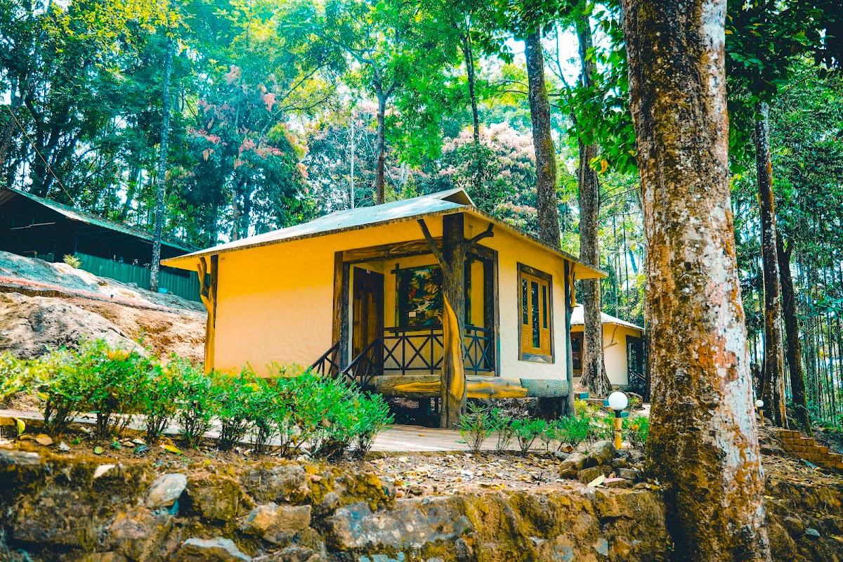 Vythiri Wild Resort, Wayanad resort – photo 1