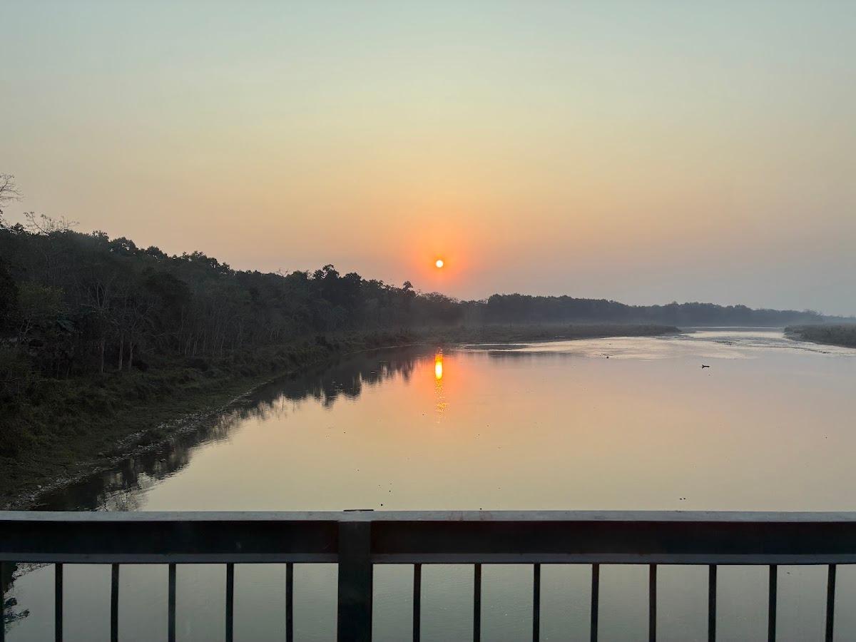 Tigerland Safari - Lemon Tree Resort – photo 3