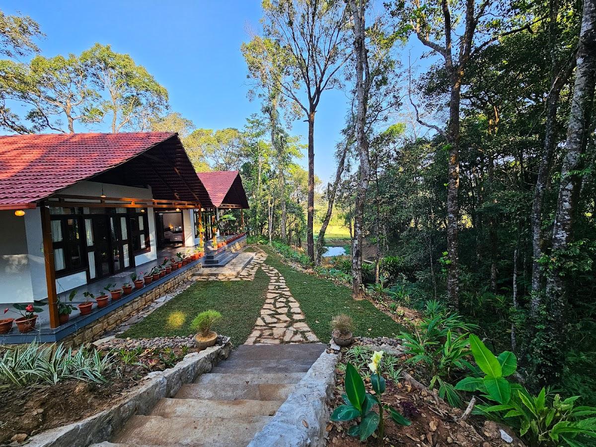 Elemane Farms - Sakaleshpura – photo 4