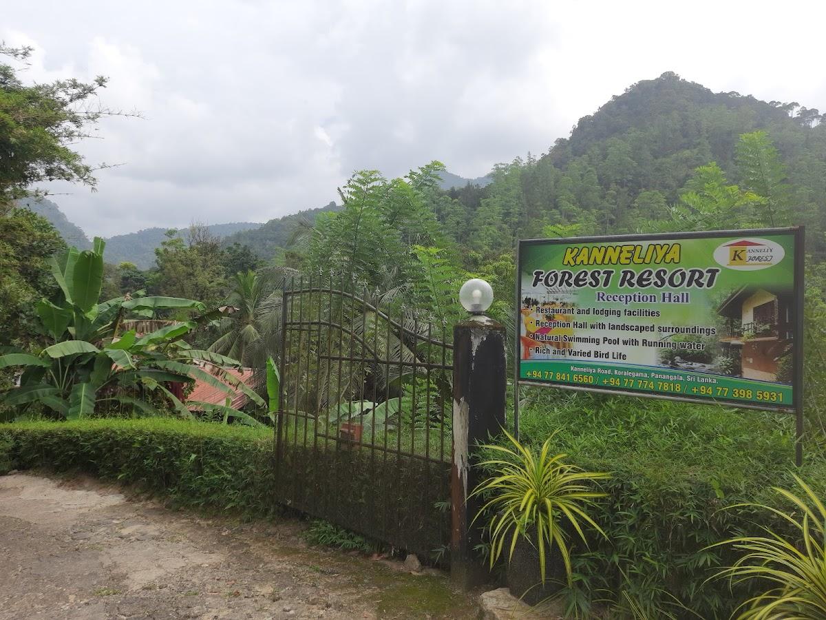 Kanneliya Forest Resort – photo 3