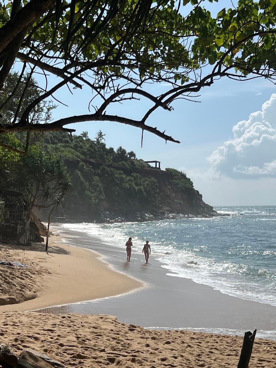 Barberyn Waves Ayurveda Resort – photo 1