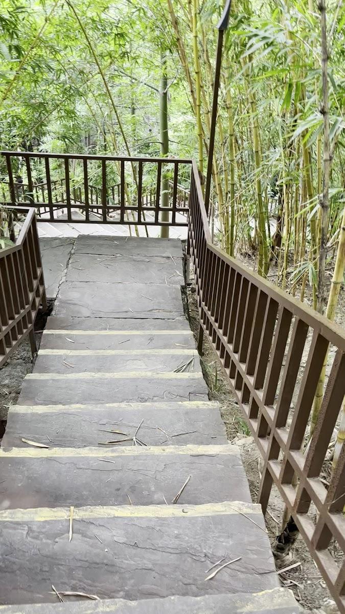 ananta resort – photo 2