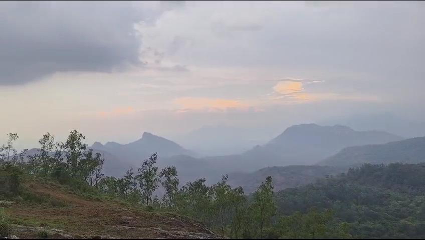 Nelliyampathy Resort& homestay – photo 3