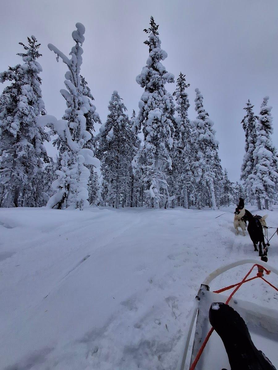 Northern Lights Village Saariselkä – photo 4