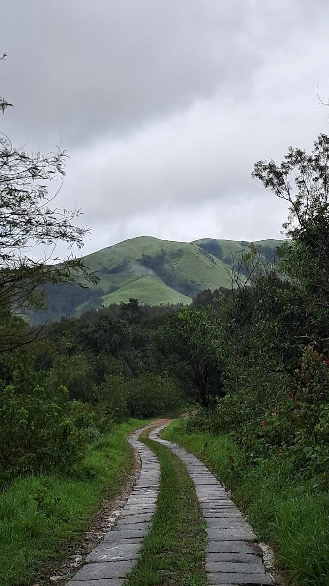 Bhagavathi Nature Camp – photo 3
