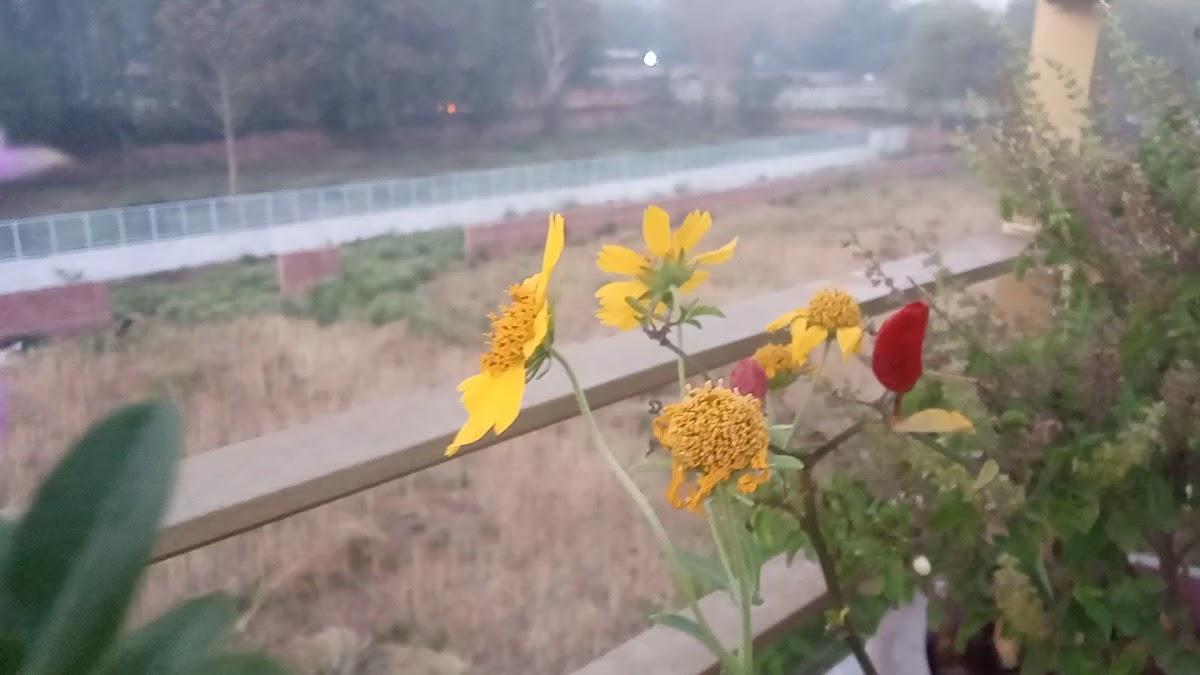 DLF Farms Chattarpur – photo 2