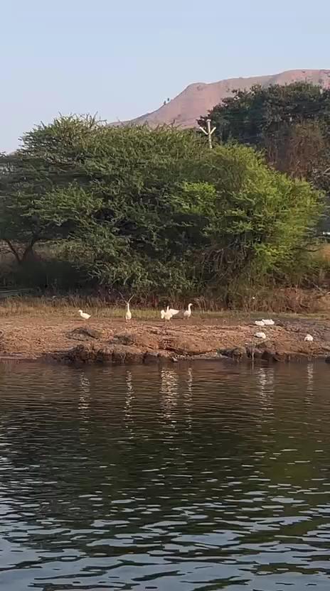 VIRASAT RESORT & RESTAURANT – photo 4