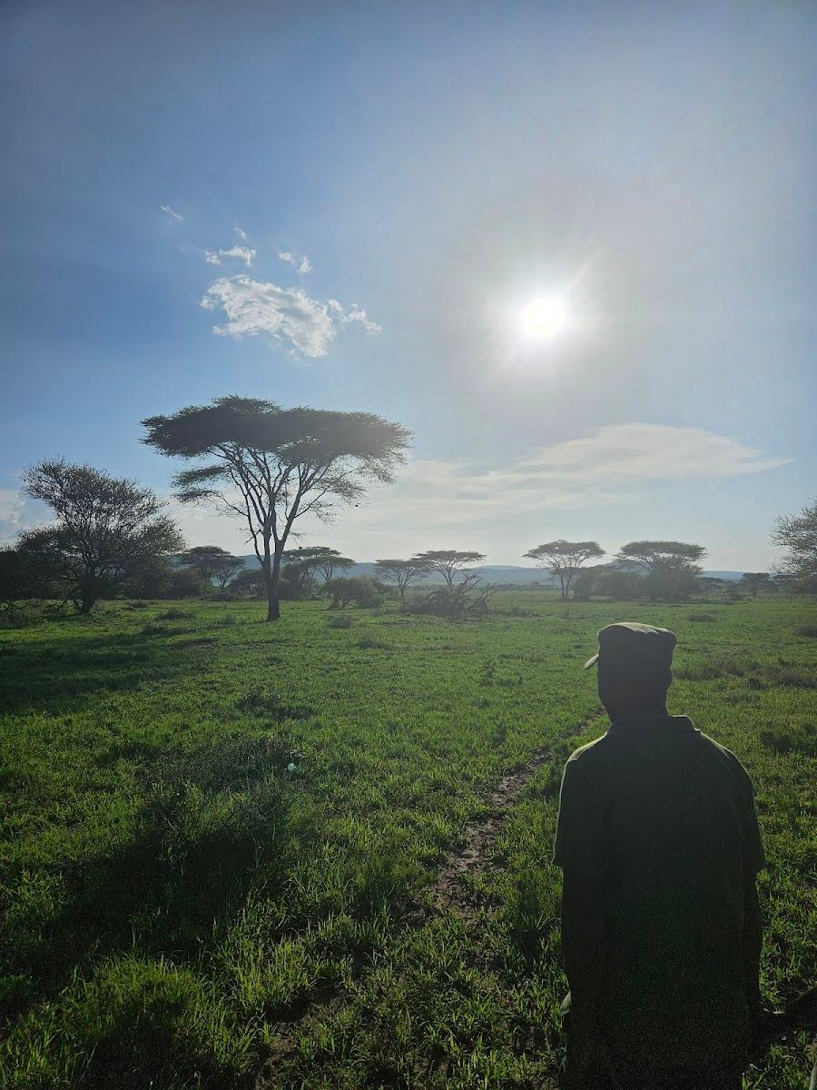 Serengeti Serena Safari Lodge – photo 1