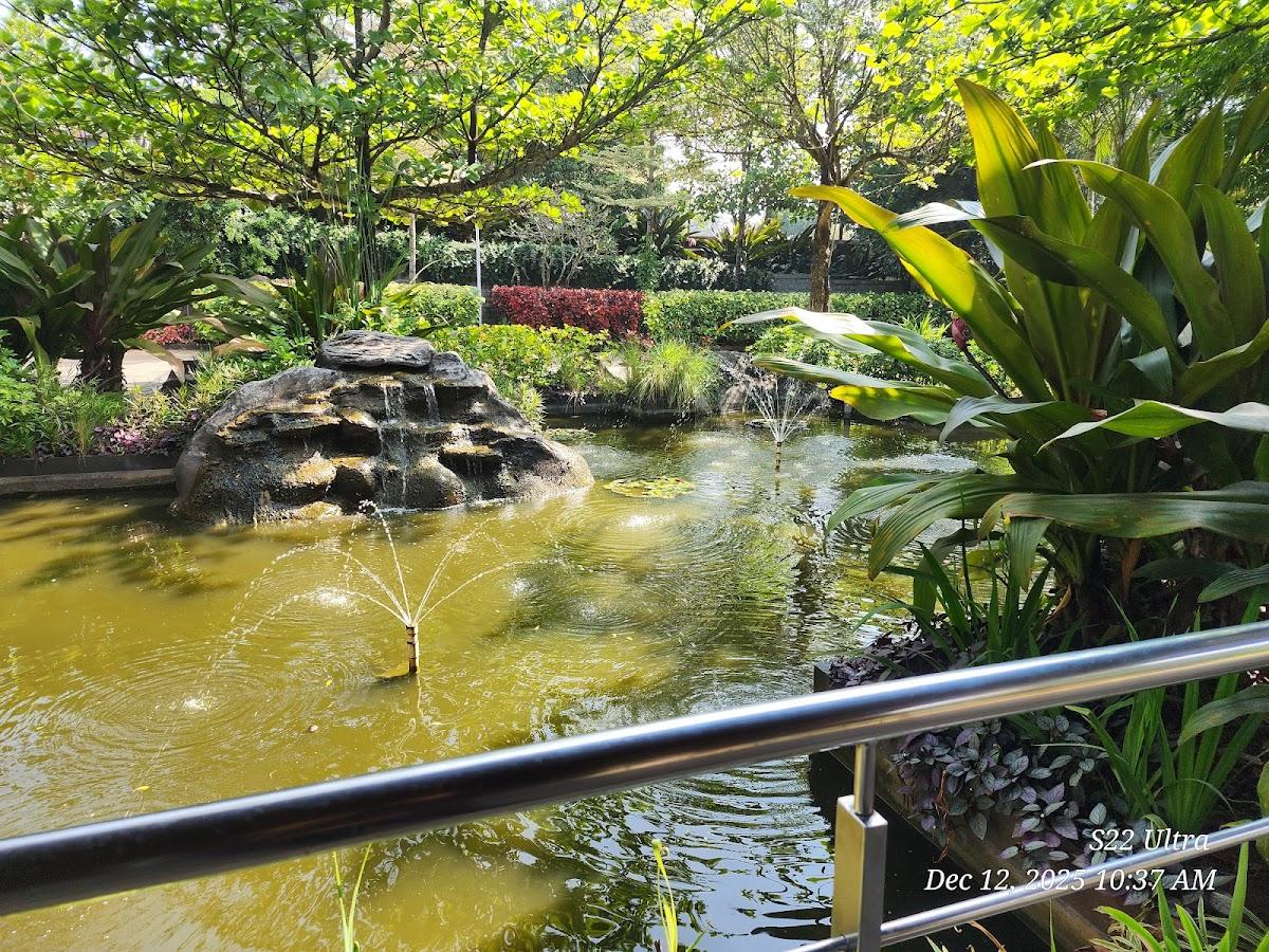 Purple Palms Resort & Spa – photo 4