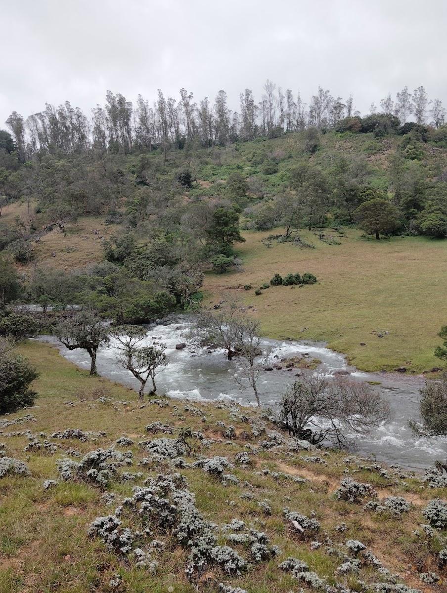 Parson Valley Retreat – photo 1