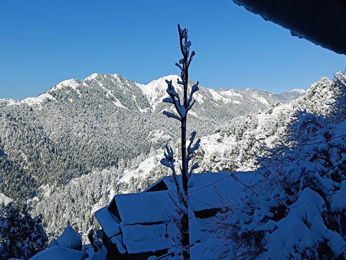 Uhl camp Barot valley – photo 3