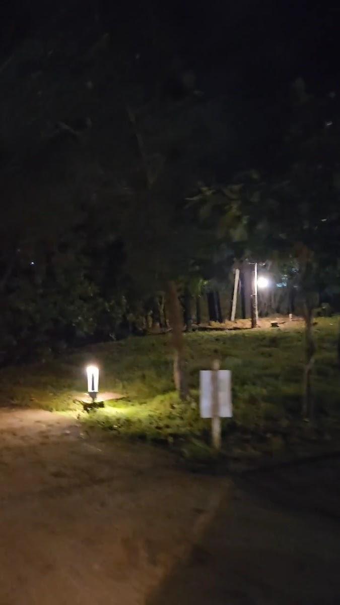 Zostel Gokarna – photo 3