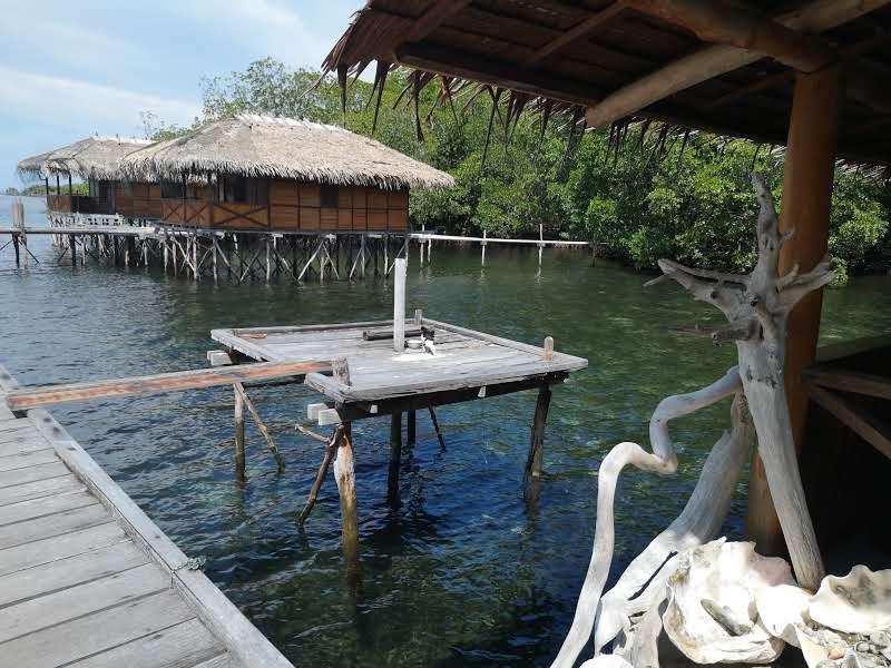 Raja Ampat Biodiversity Nature Resort