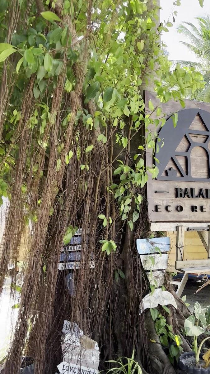 Balabac Eco resort – photo 4