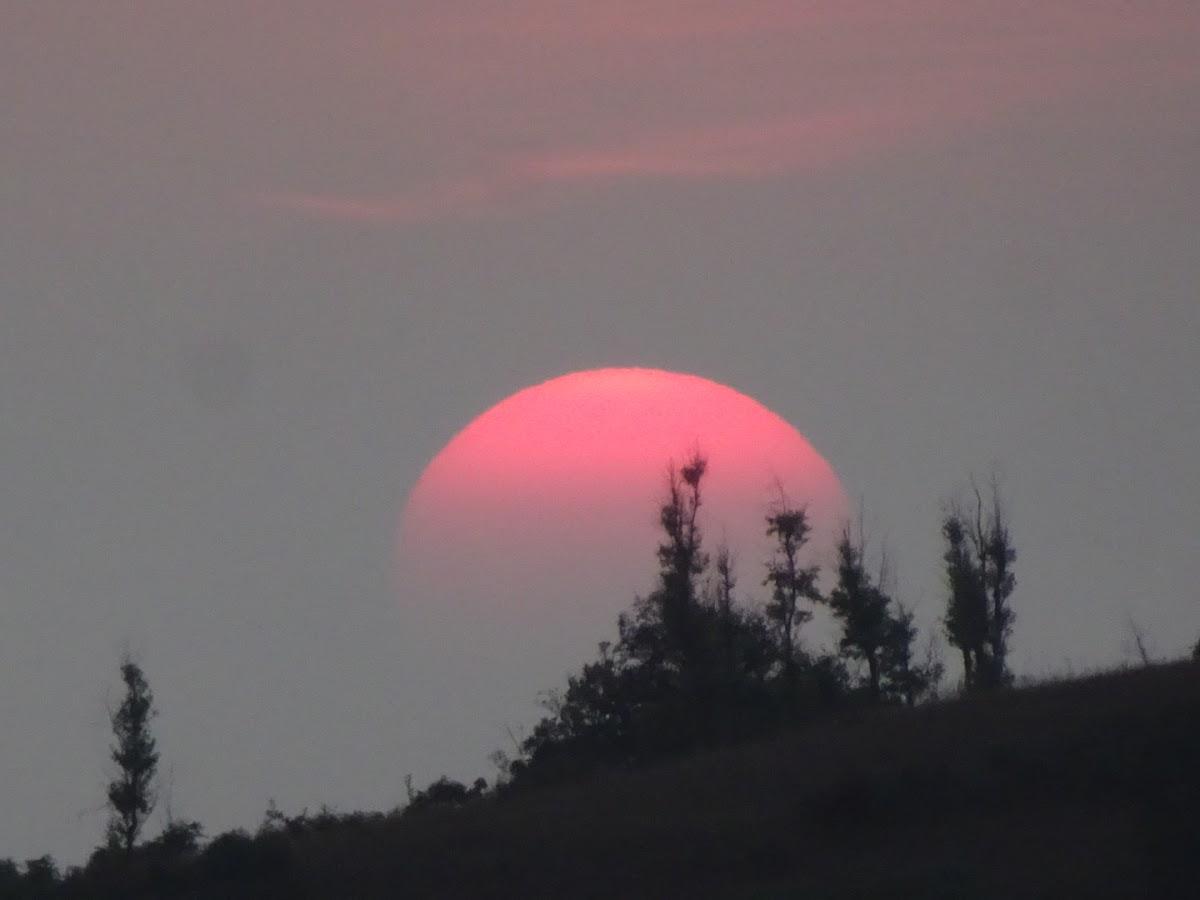 KaatiKaadu – photo 2