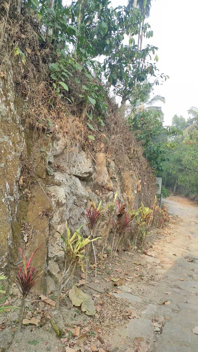 Avadale Wayanad (Stag Groups Not Allowed) – photo 4