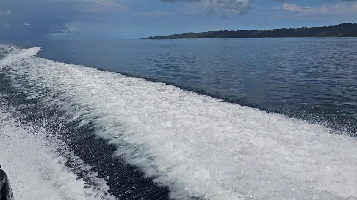 Raja Ampat Biodiversity Nature Resort – photo 4