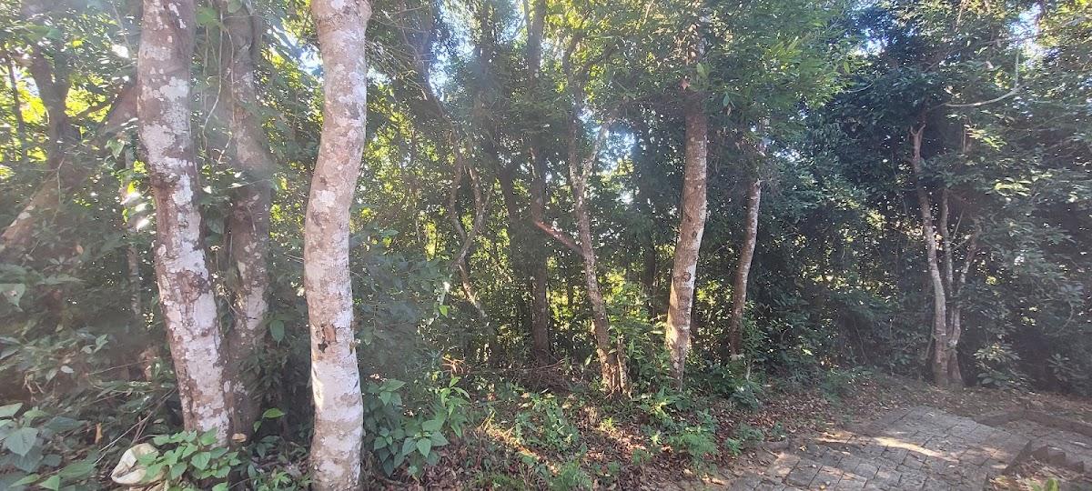 Reiek Tourist Resort – photo 4