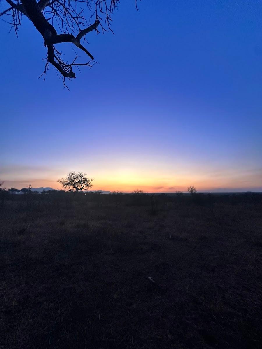 Shumbalala Game Lodge – photo 2