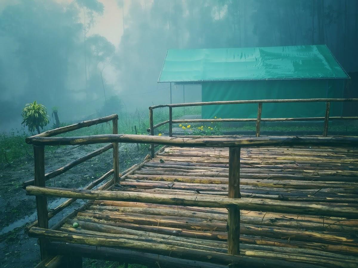 SKYBZ - Kanthalloor Jungle Resort – photo 2