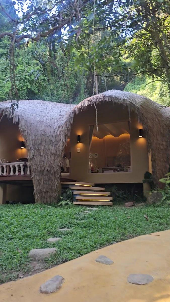 LAZULA : Forest Retreat – photo 2