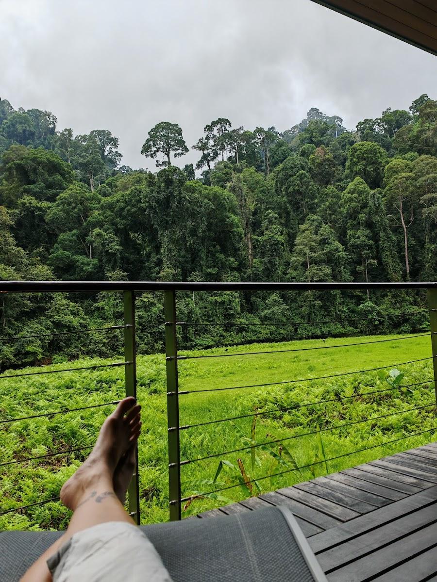 Borneo Rainforest Lodge – photo 3