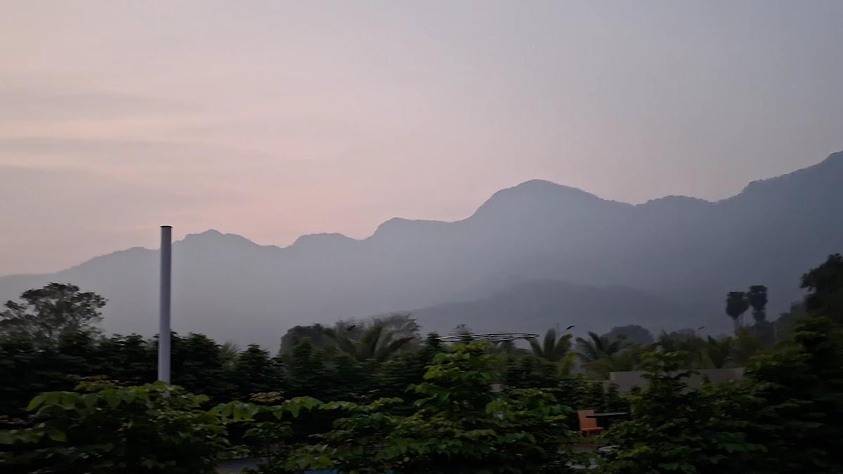 Araku Aranya Resorts – photo 4