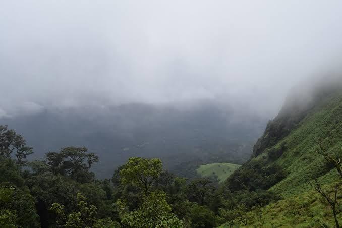 Coorg Hills Plantations – photo 2