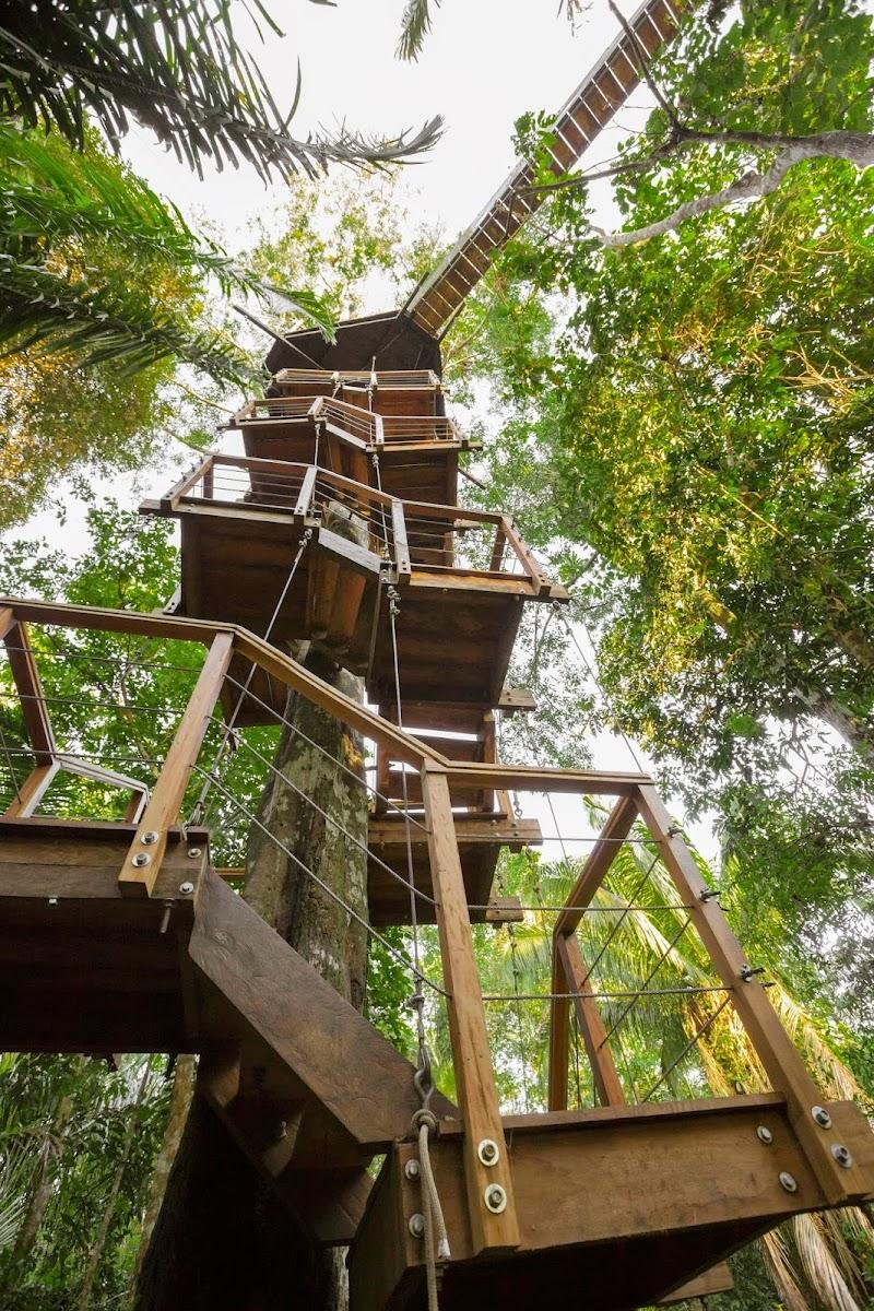 Treehouse Lodge – photo 1