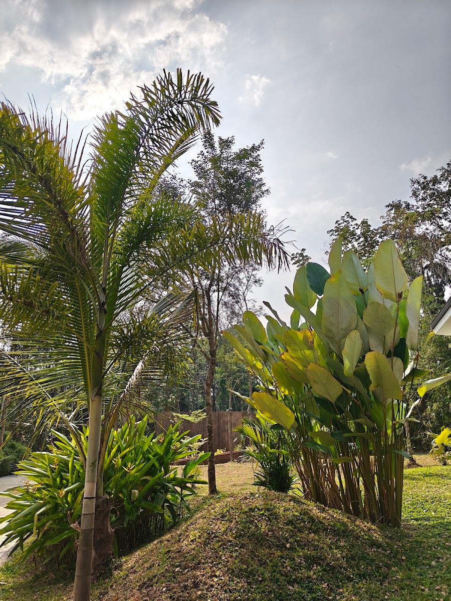 The Village Vista Resort-Wayanad – photo 4