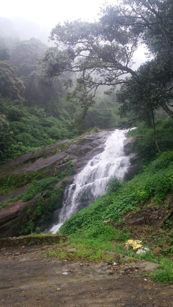 Agb Jungle Resort – photo 4