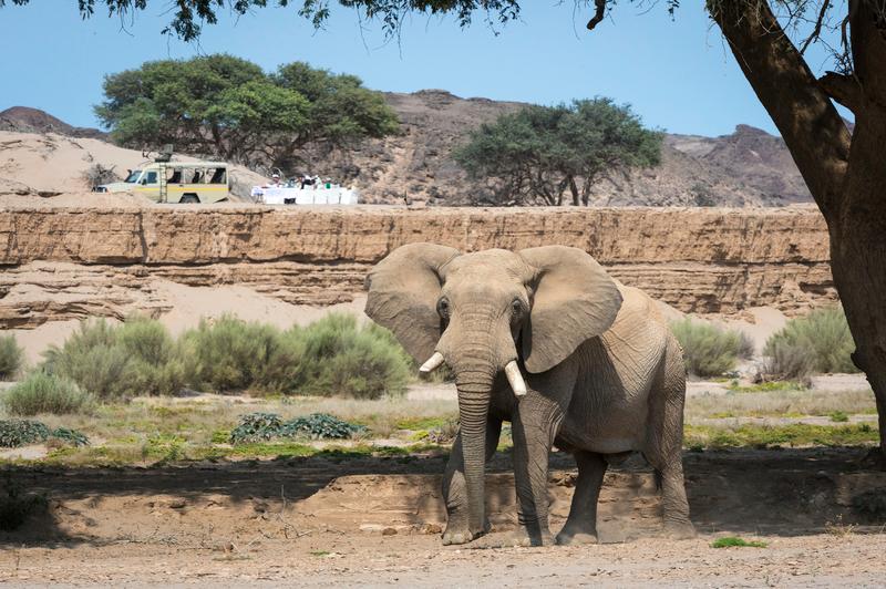 Hoanib Skeleton Coast Camp – photo 4