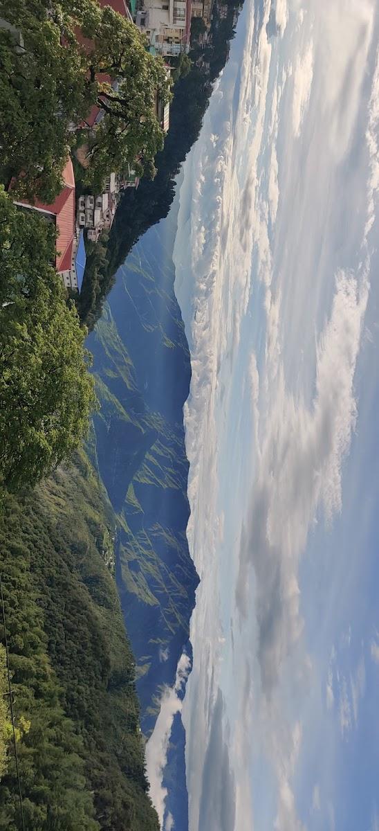 The Pine Homestay – photo 3