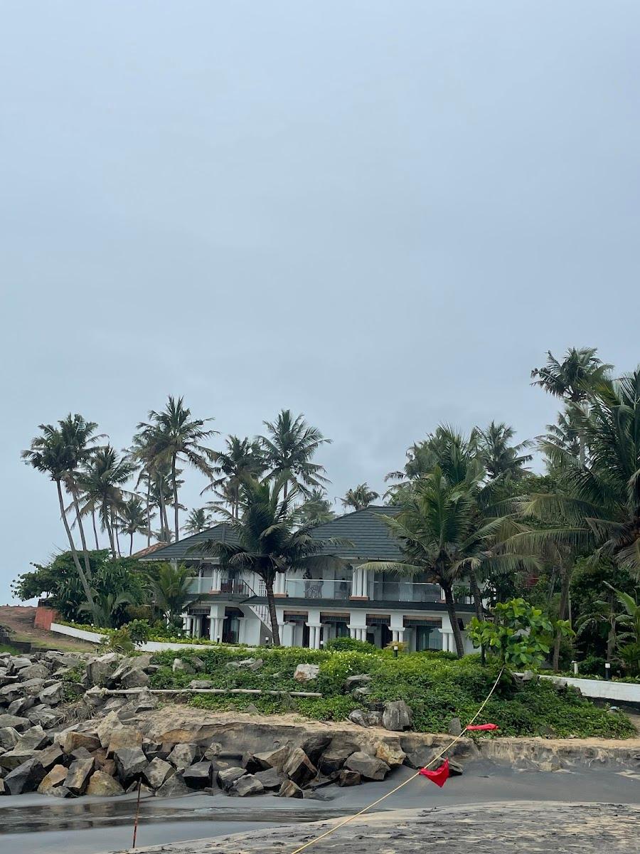 West Bay Palm Tree Heritage