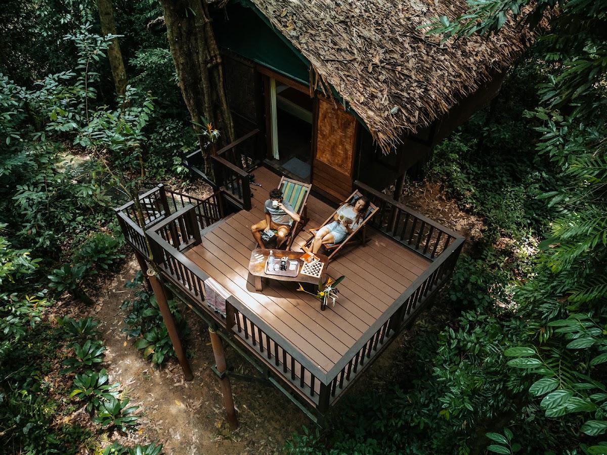 Our Jungle House – photo 1