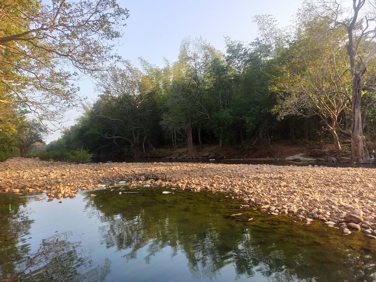 Mamandur forest eco tourism – photo 2