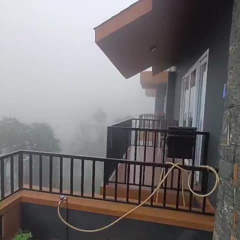 ELAKKI FOG HEAVEN – photo 1