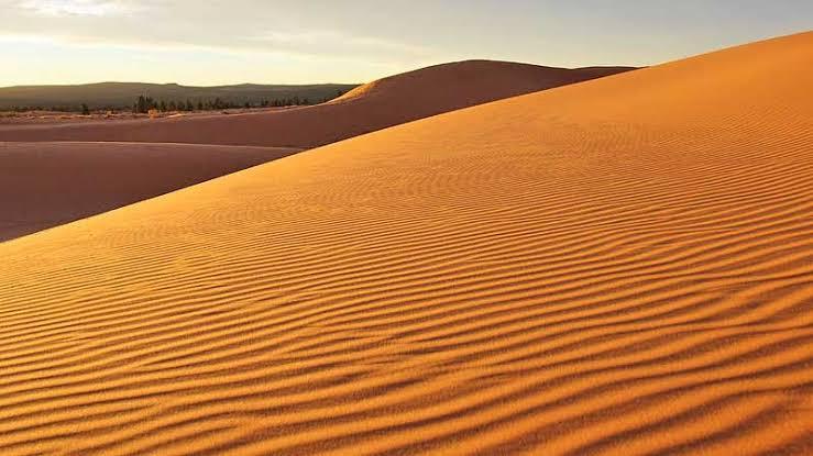 Sam Sand Dunes Camps Jaisalmer – photo 4