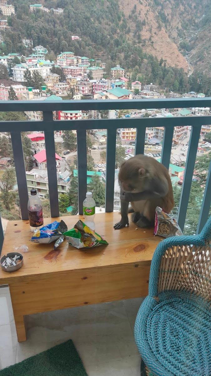 White Water Inn McLeodganj – photo 2