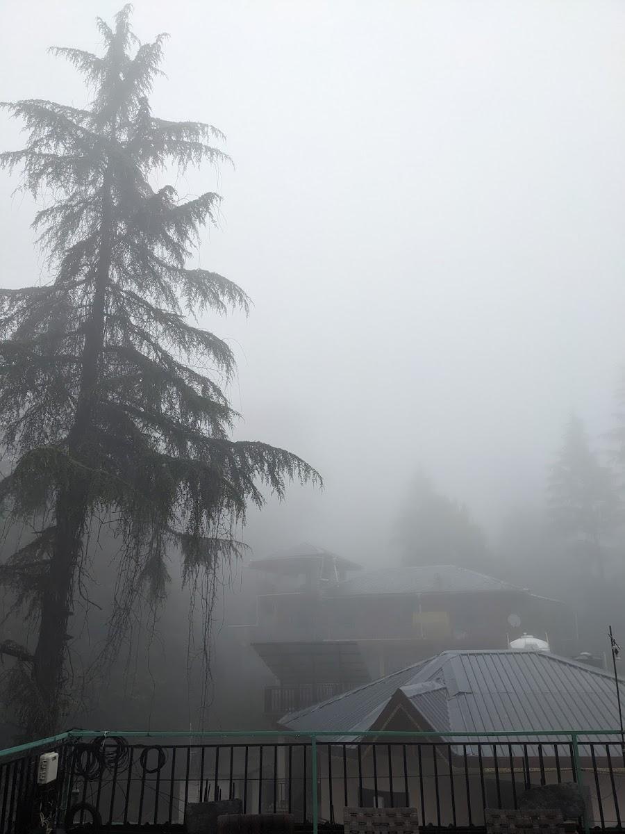 Mustard House -Dharamkot. Travellers Homestay – photo 2