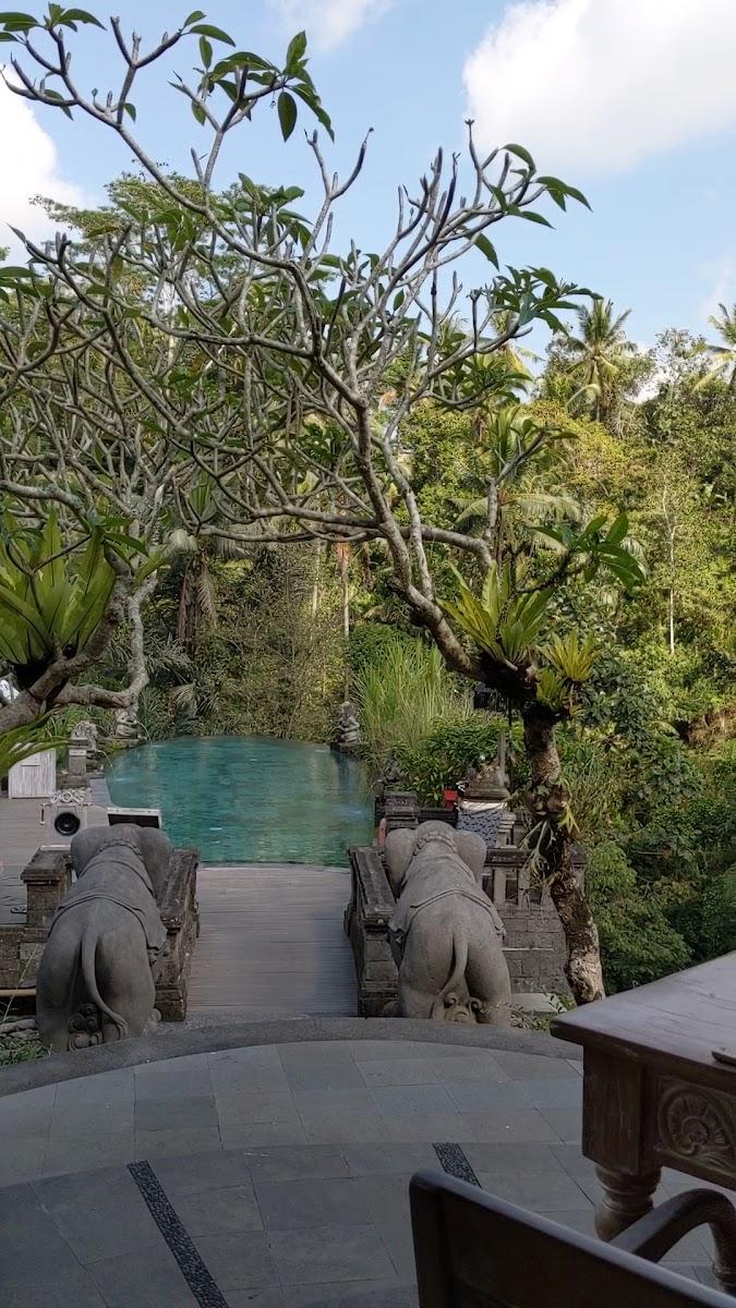The Kayon Resort Ubud – photo 3