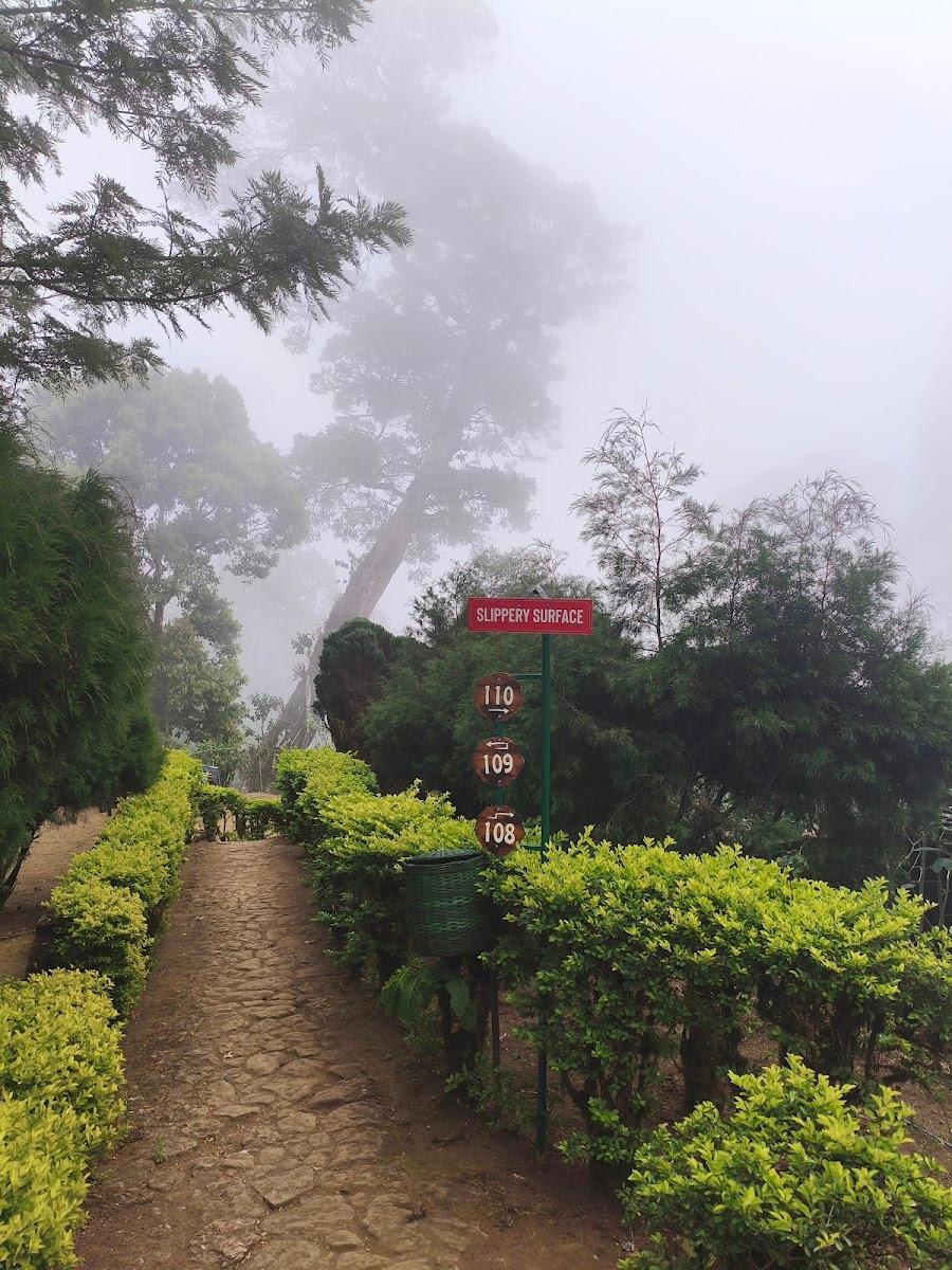 Nature Zone Resort Munnar - Tree House, Luxury Tents, Munnar – photo 3