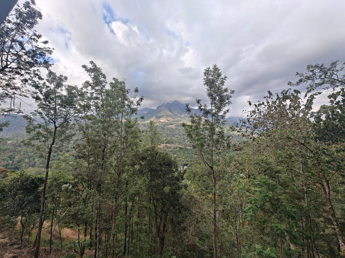 Eterno Camellia & Elettaria Resort Munnar – photo 2