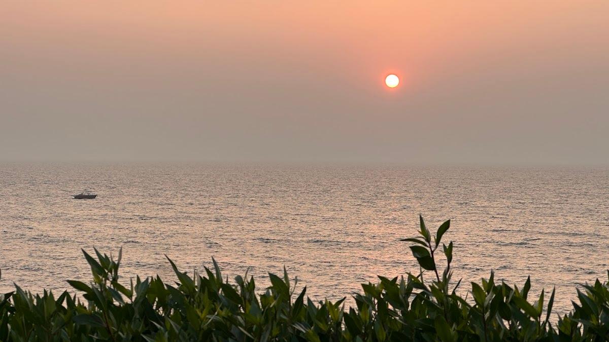 W Goa – photo 3