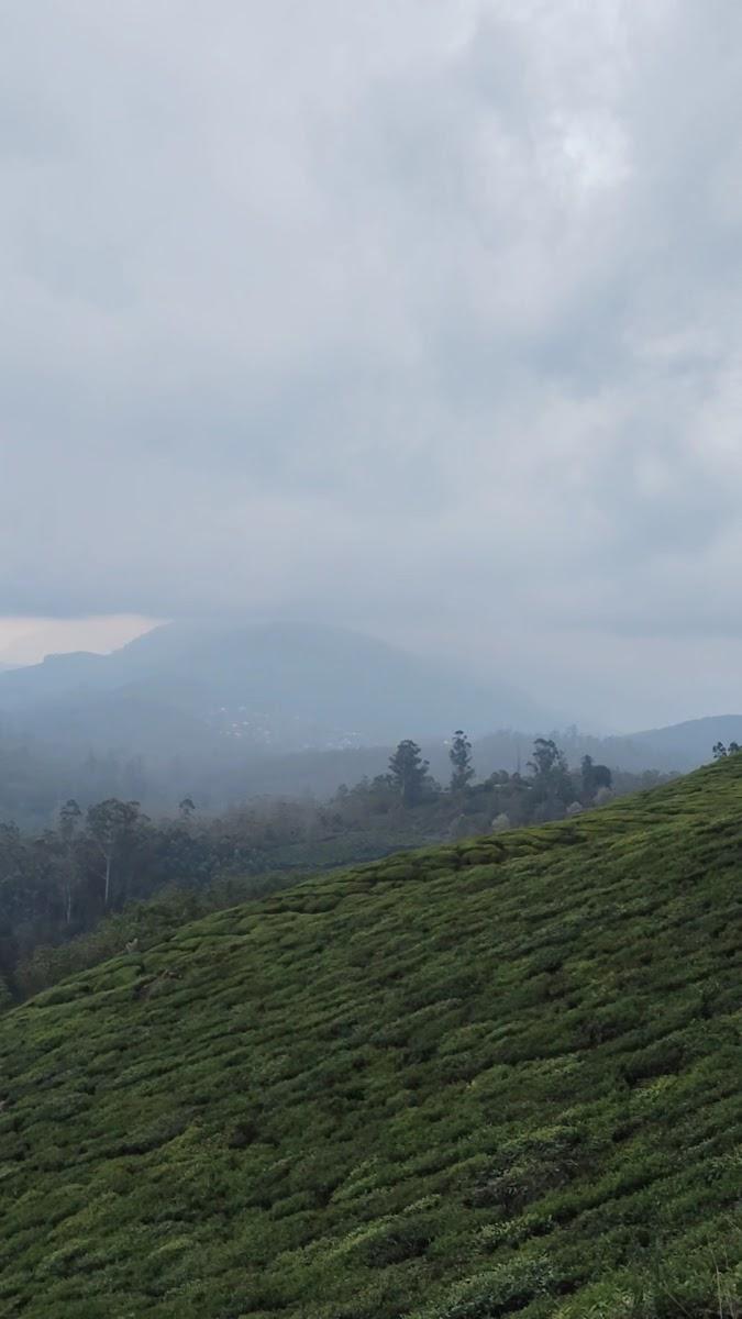 Edens Resort Munnar – photo 1