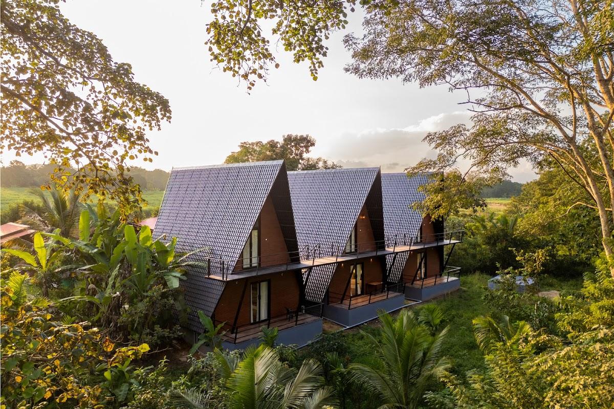 Jungle edge resort – photo 1