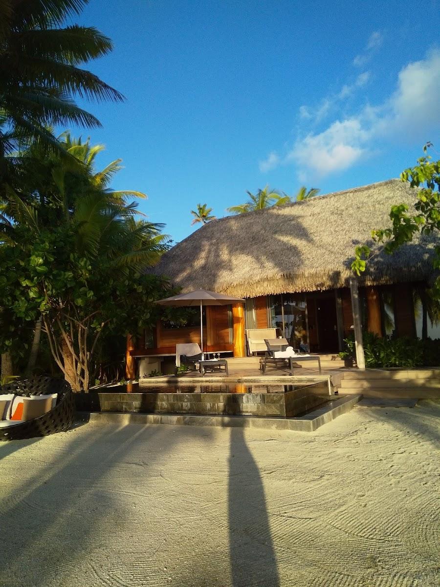 The Brando – photo 1