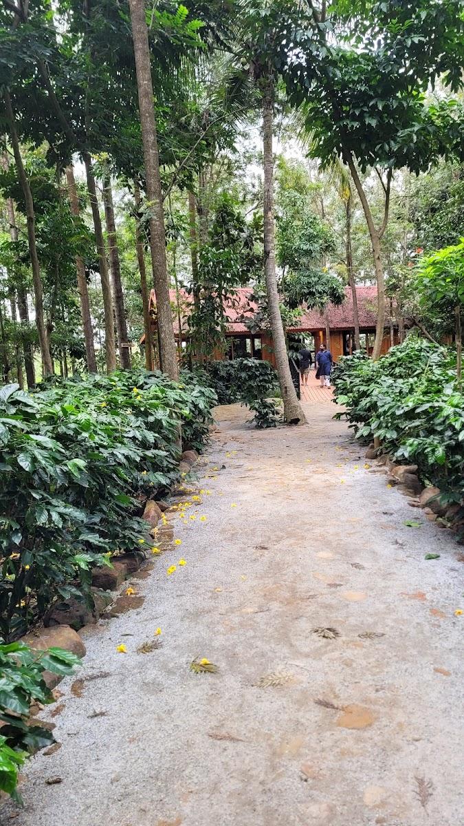 Citrus Trail Farm & Kitchen (Reservation mandatory, WhatsApp only) – photo 1
