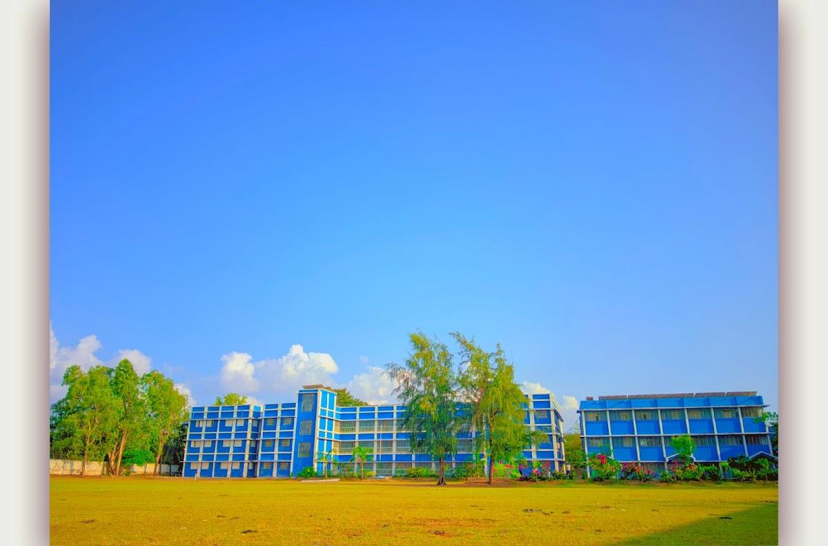 Daman – photo 4